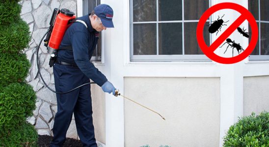 Turgutlu Fare İlaçlama böcek ilaçlama ve haşere kontrolü — ilaclama-tr.com